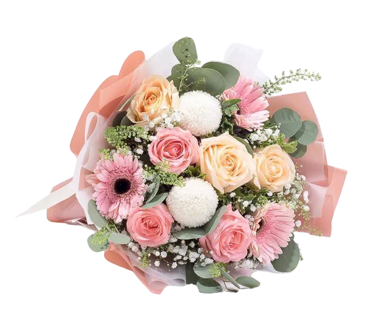 Buket bunga Blushing Ballad yang terdiri dari bunga mawar merah muda dan champagne, gerbera merah muda, dan pingpong putih yang dihiasi dengan baby's breath