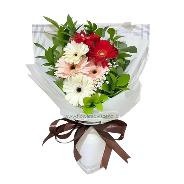 buket bunga Gerbera Sisters