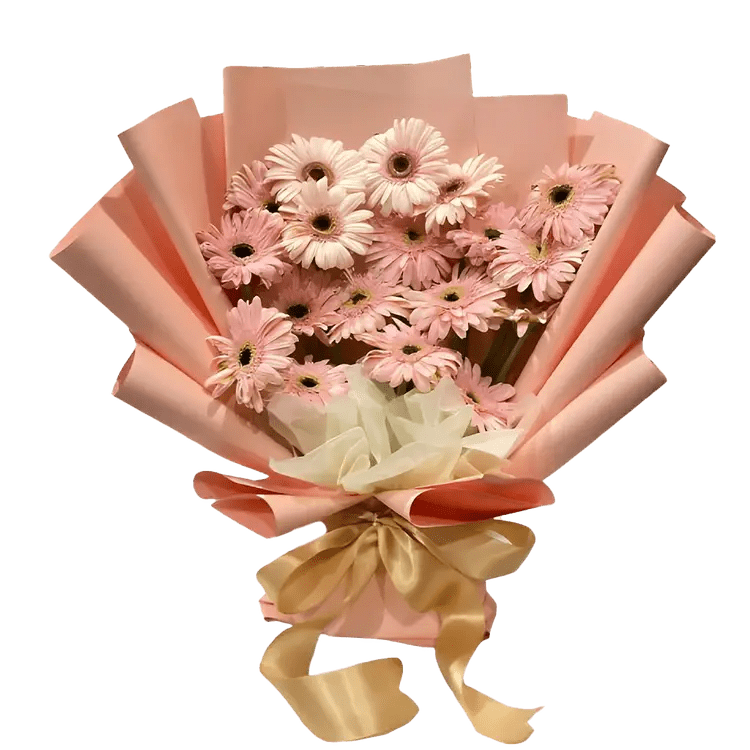 Pink Painted Gerberas, Buket bunga untuk ulang tahun istri elegan dengan kombinasi daisy merah muda yang dipadukan dengan inti bunga berwarna coklat atau kuning tua.